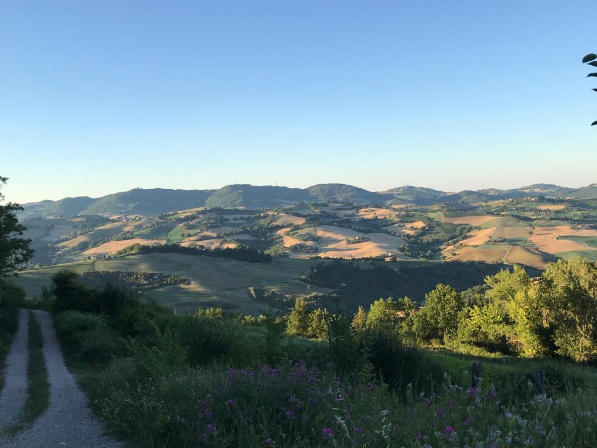 Agriturismo "Le Cannelle" Spa & Day Wellness Villa Fossombrone Luaran gambar