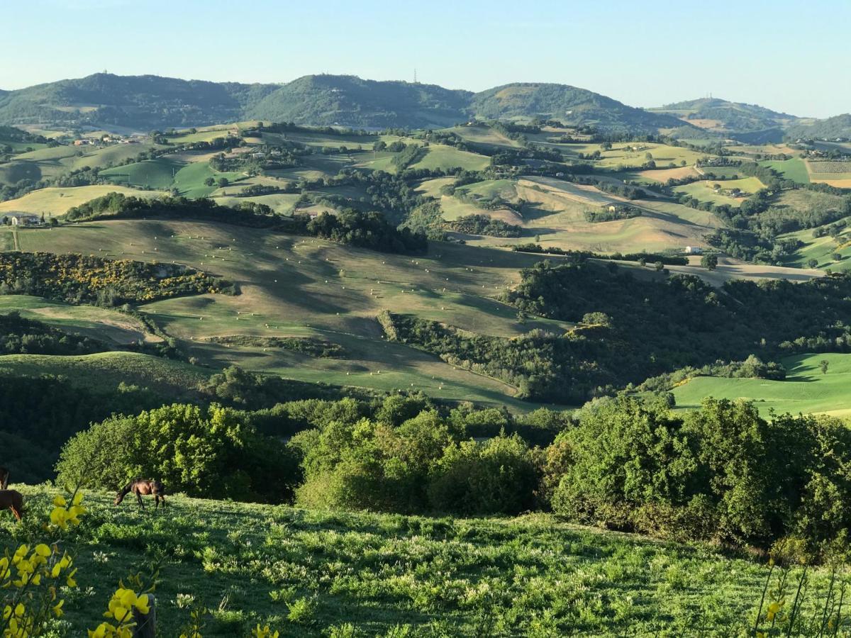 Agriturismo "Le Cannelle" Spa & Day Wellness Villa Fossombrone Luaran gambar