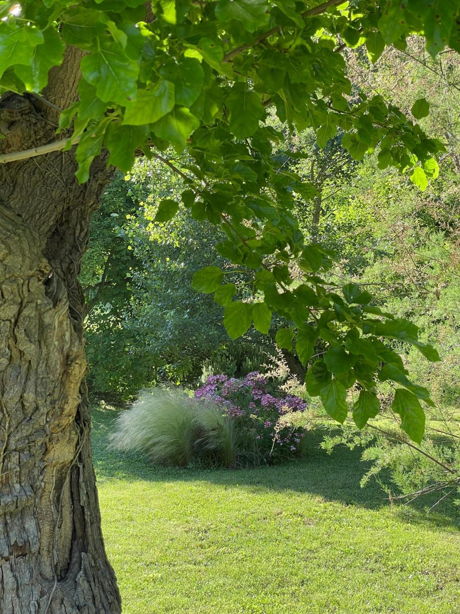 Agriturismo "Le Cannelle" Spa & Day Wellness Villa Fossombrone Luaran gambar