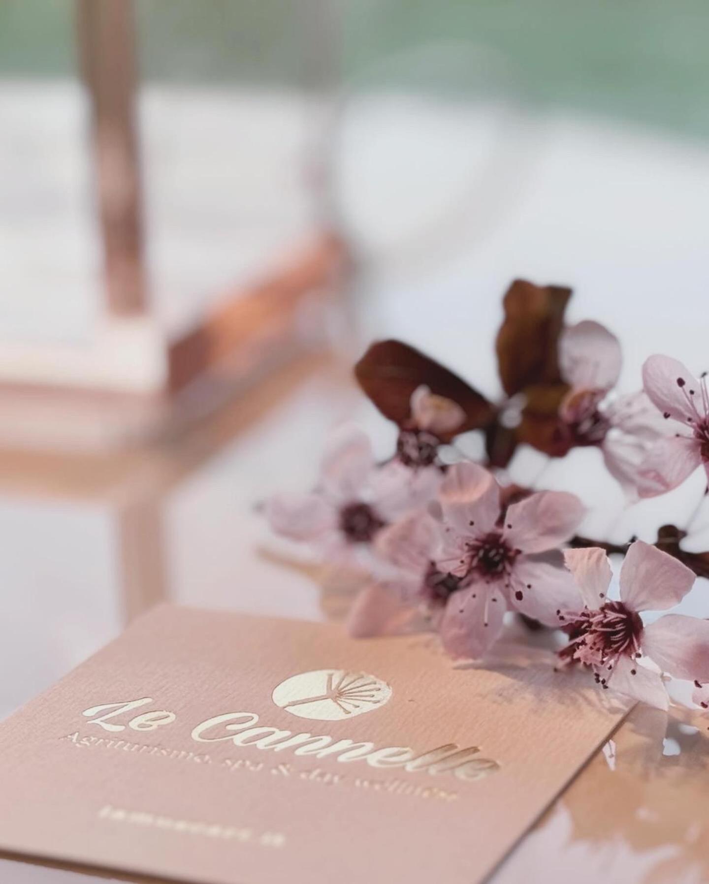 Agriturismo "Le Cannelle" Spa & Day Wellness Villa Fossombrone Luaran gambar
